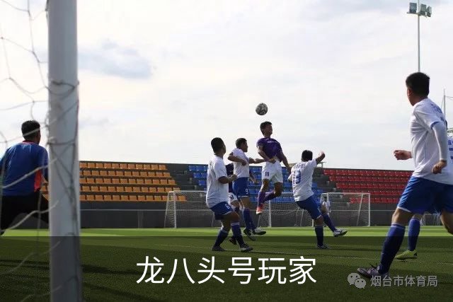 龙八头号玩家公司介绍